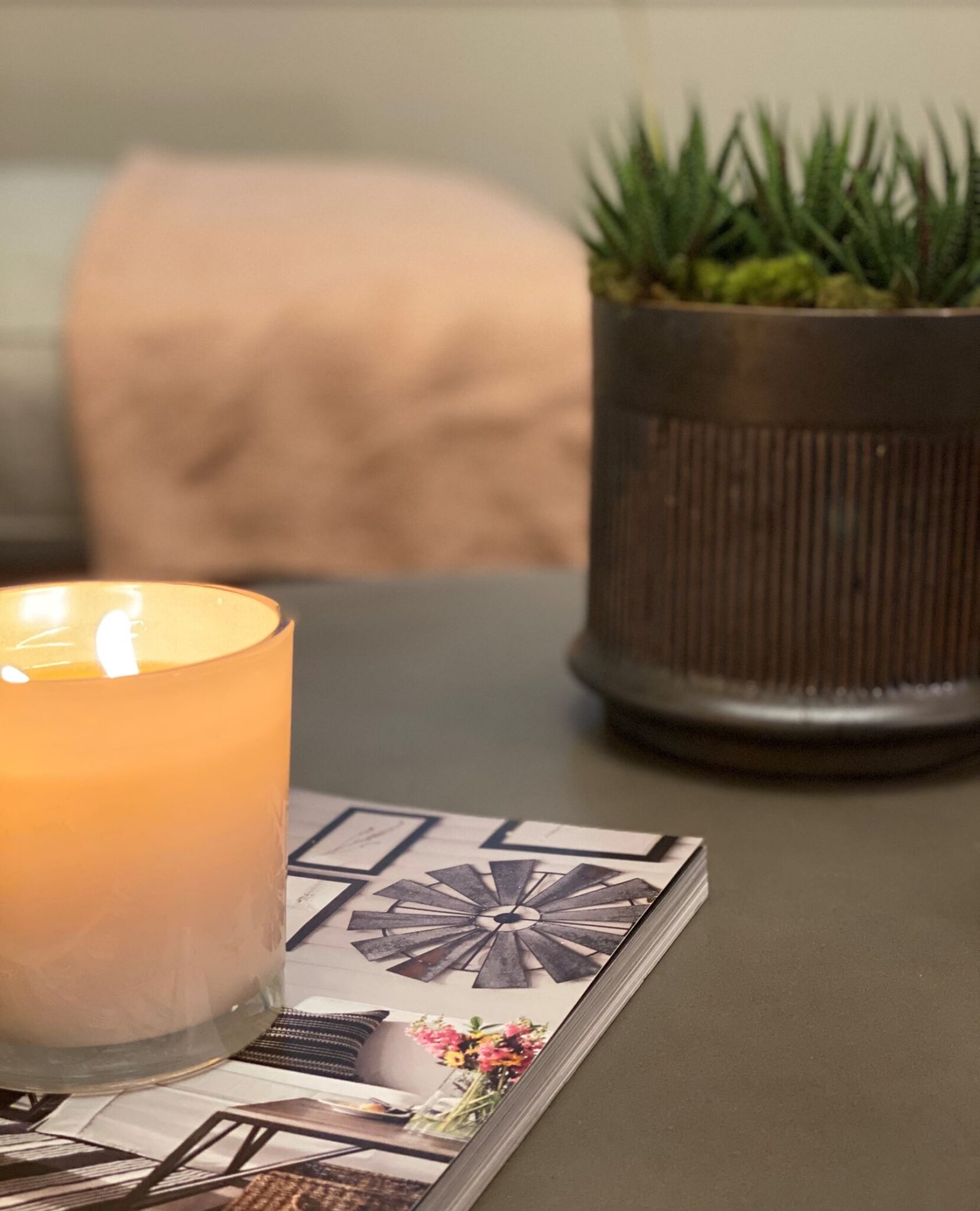 Plant & Candle Resized Tweak Your Space